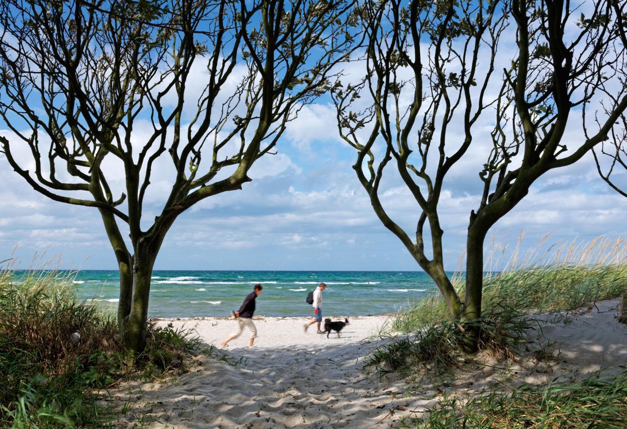 Lütt Kajüt - FIP Park Daire Insel Poel Dış mekan fotoğraf