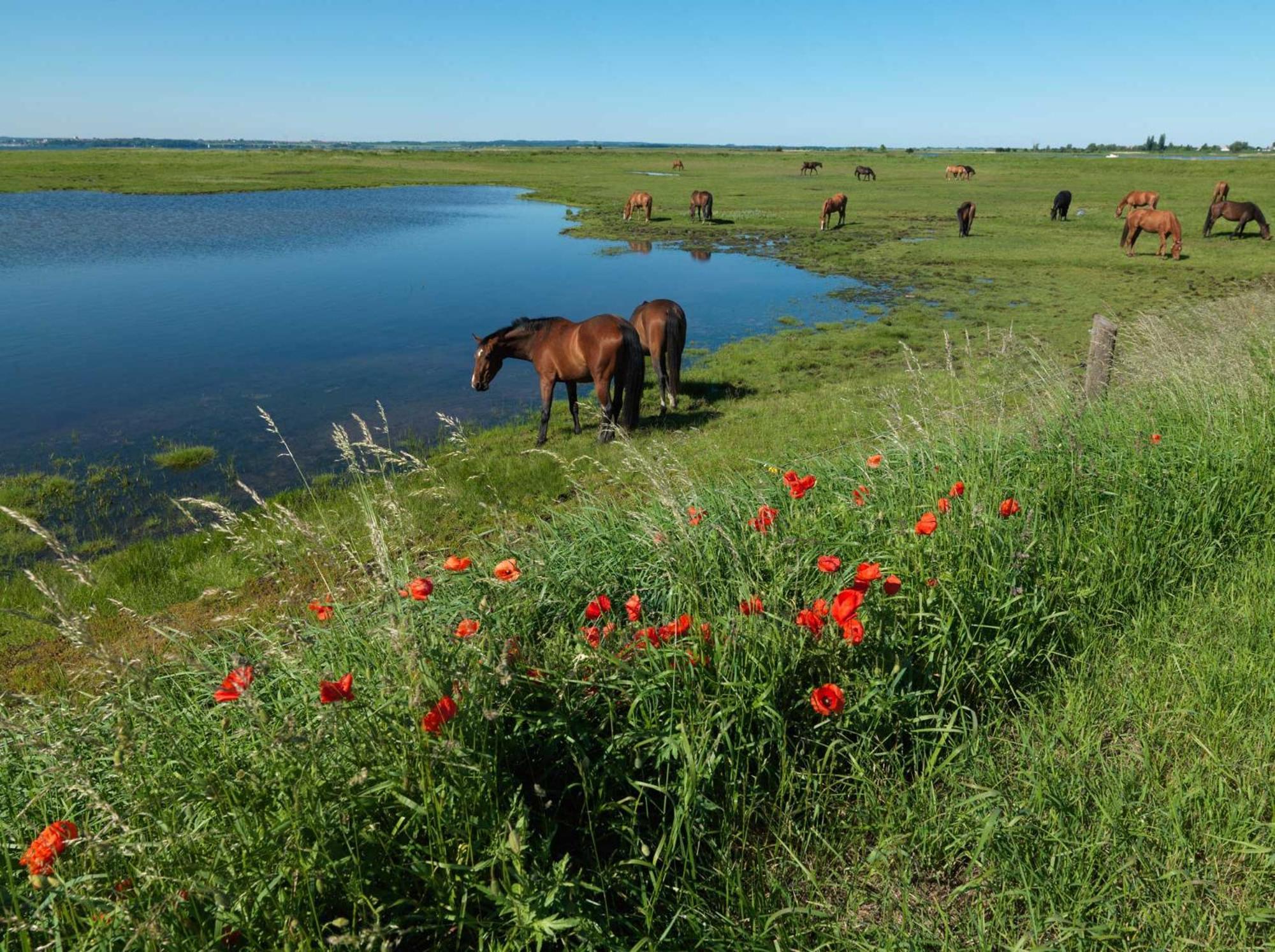 Lütt Kajüt - FIP Park Daire Insel Poel Dış mekan fotoğraf