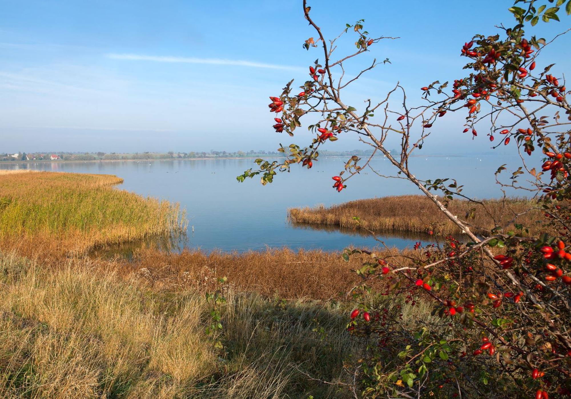 Lütt Kajüt - FIP Park Daire Insel Poel Dış mekan fotoğraf